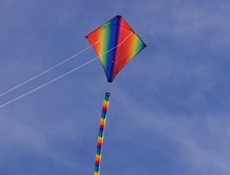 Fly360 dual line diamond stunt kite - beginner kite for learning stunt kite flying India