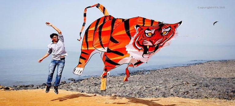 Vokatta! Where our spirits soar as high as the kites we fly!