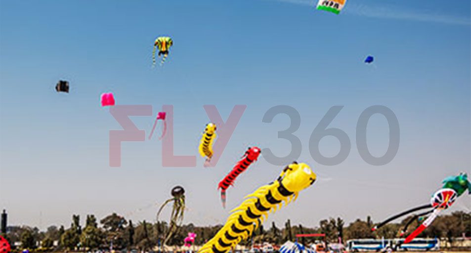 kite for flying - International Kite Festival