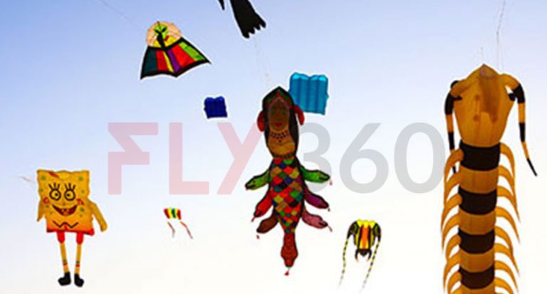 various kites - International Kite Festival