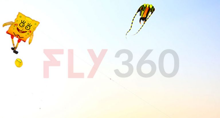 kite in the air - International Kite Festival