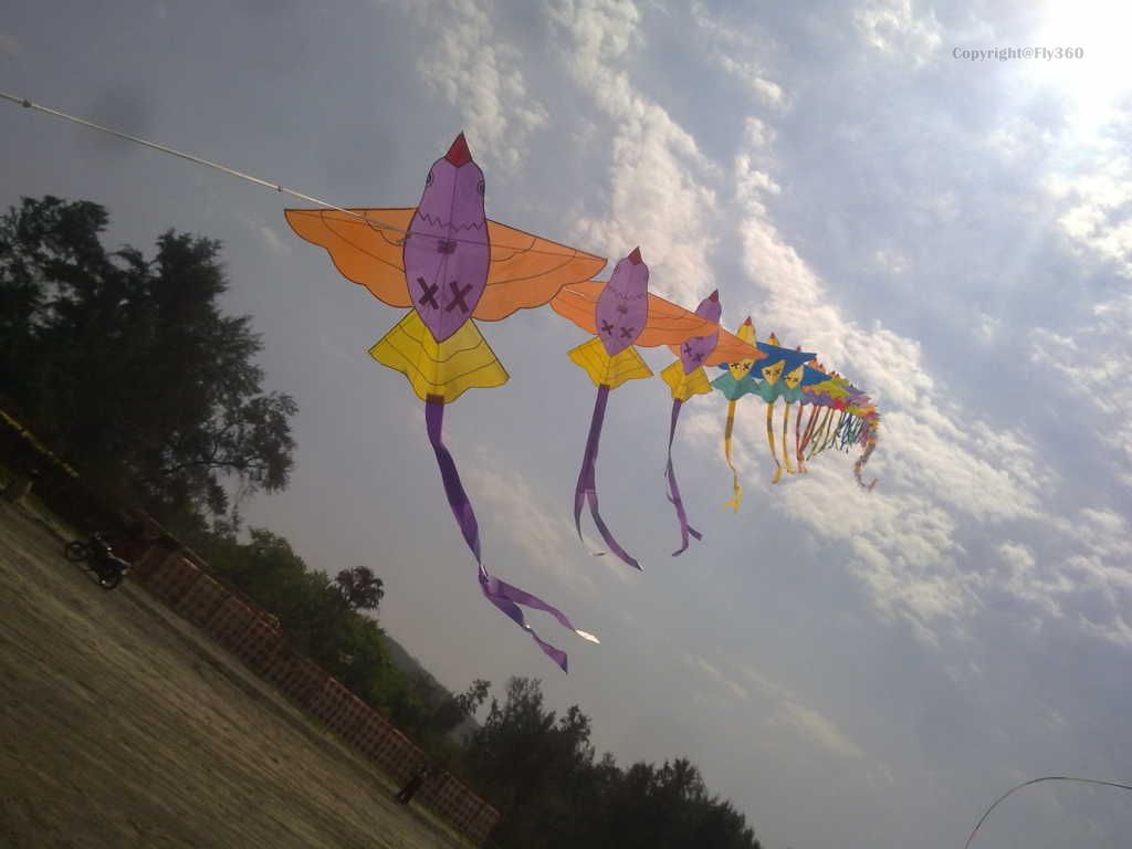bird-train-kite-Fly360