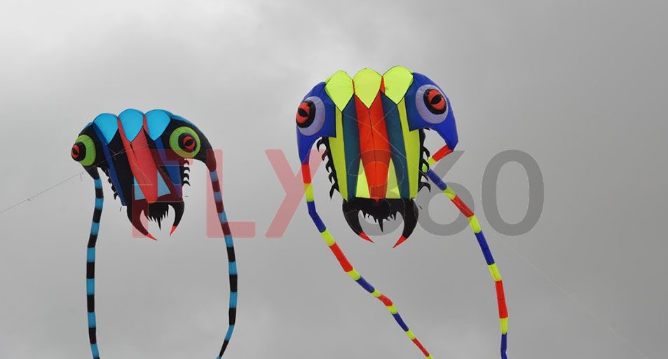 Kites flying above the crowd at Mumbai Life Festival property expo