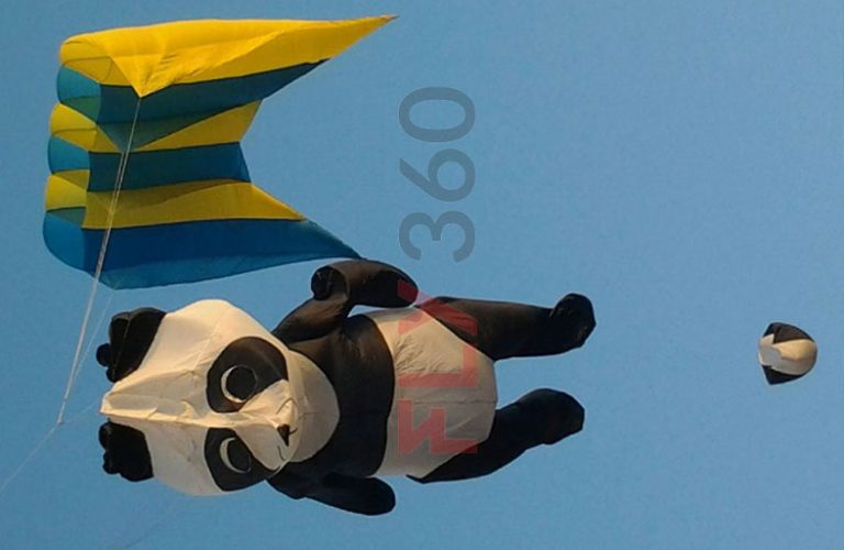 Fly360 custom panda kite Uttarayan festival Gujarat