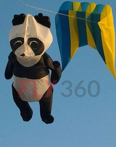Fly360 panda kite at Uttarayan festival — custom designer kite Gujarat Makar Sankranti