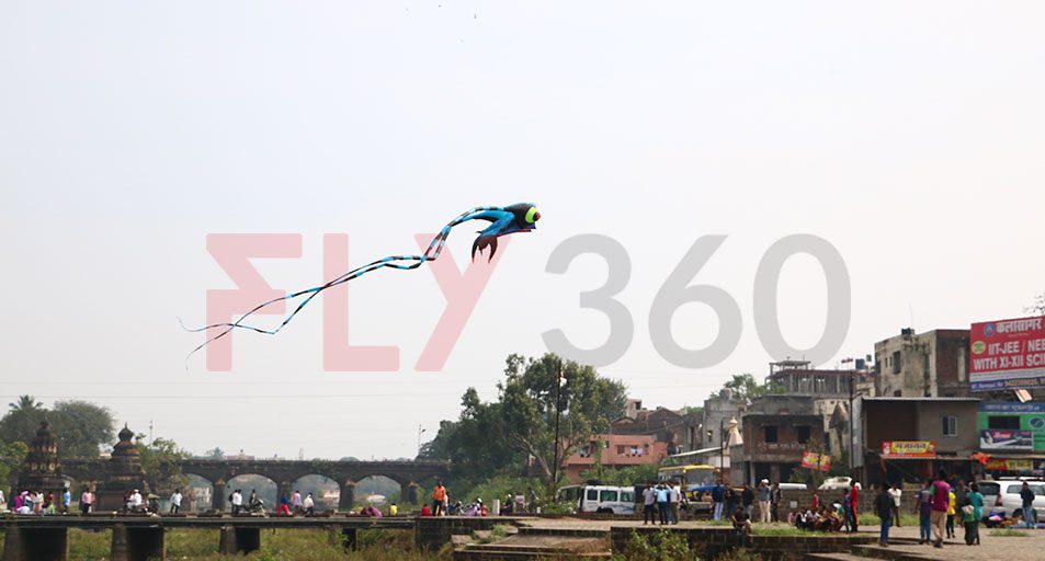 A single kite in flight above Mahabaleshwar hill station