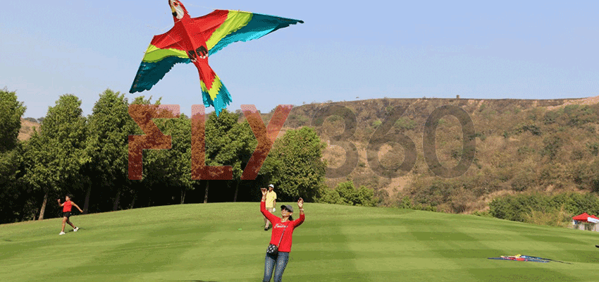 Girl-flying-kite