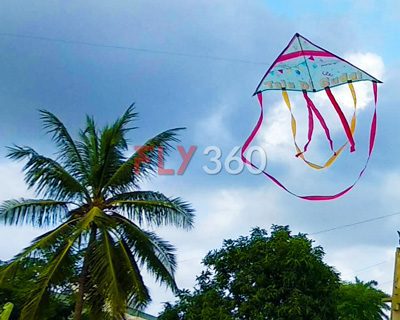 birthday-custom-design-kite-celebration-fly360-couple