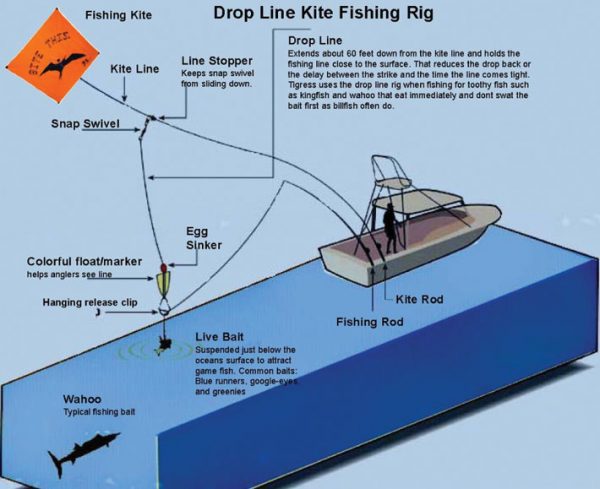 Traditional Polynesian kite fishing technique — kite used to deliver fishing lure over reef