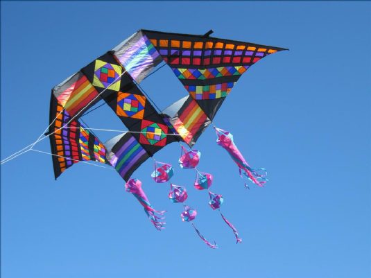 Dual delta conyne kite, one of the single line kite types explained by Fly360