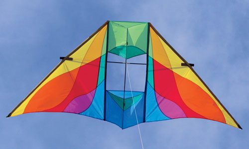 Delta conyne kite | FLY360