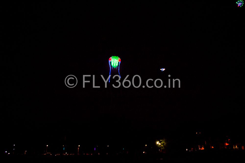 voting-awareness_india_election_fly360_kite_festival_2019_FLY360-128 Fly360 at kite festival India — aerial kite show performance by master kite artist Ashok Shah