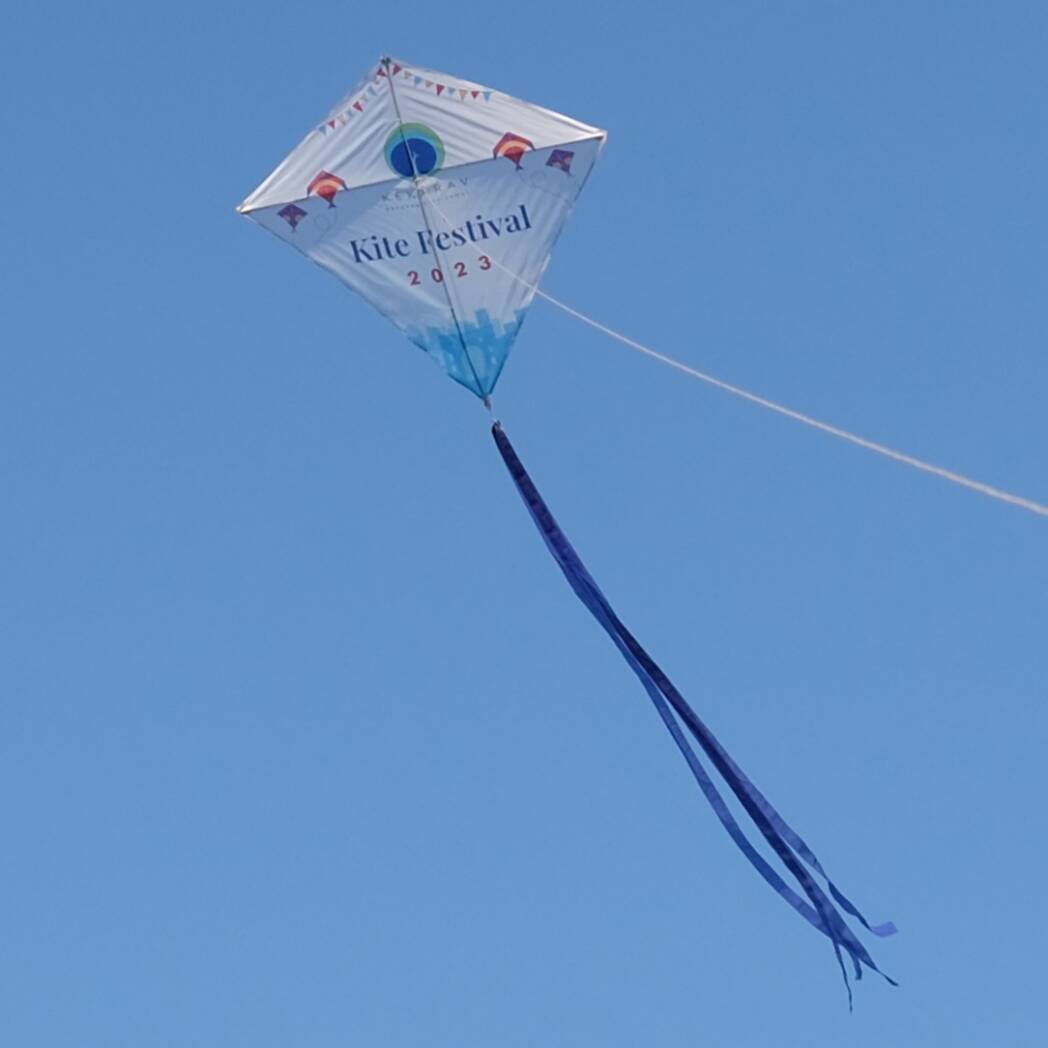 Diamond shape kite - custom design