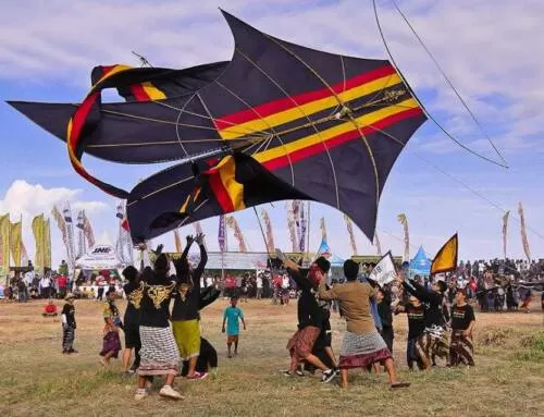 What You Need to Know About Hosting Your Own Kite Event