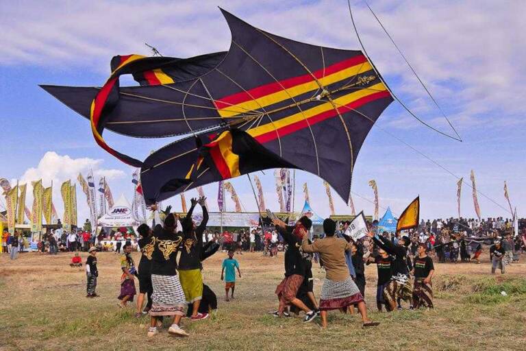 What You Need to Know About Hosting Your Own Kite Event