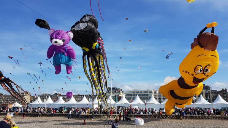 Flying in Style: Explore Unique Designer Kites Available Online