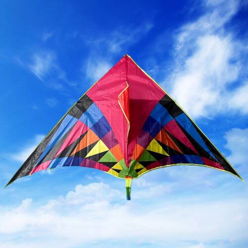 Abstract Art Delta Kite with Tail - Unique Design for Creative Sky-High Adventures