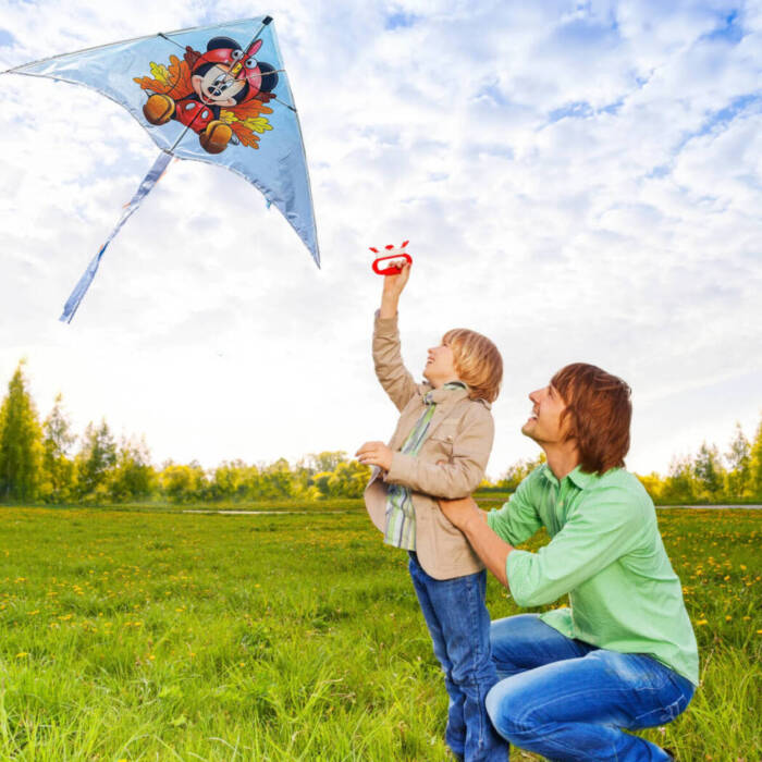 Mickey mouse Delta Kite - Image 2