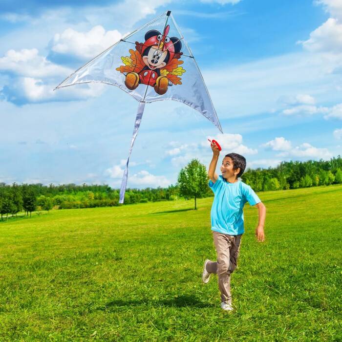 Mickey mouse Delta Kite - Image 3