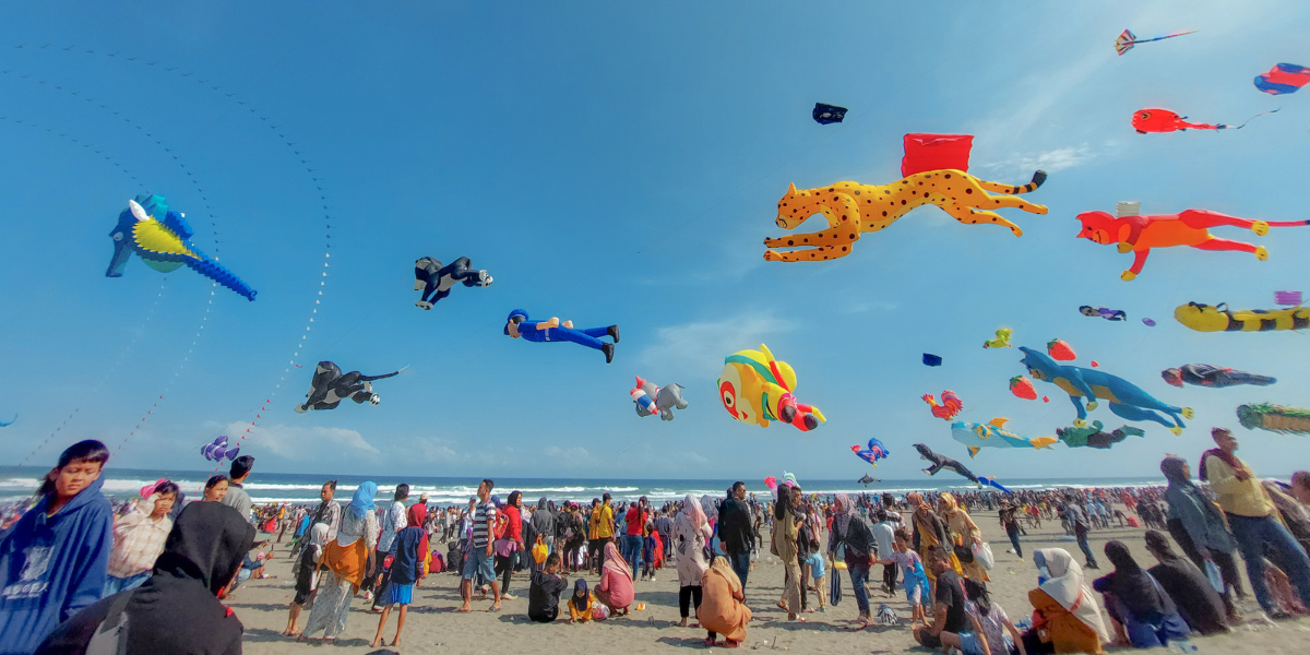 Professional Kite Festivals — FLY360