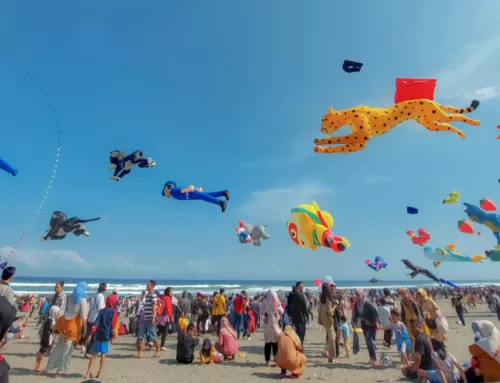 Elevate Your Celebrations: Fly360’s Guide to Hosting a Spectacular Kite Festival