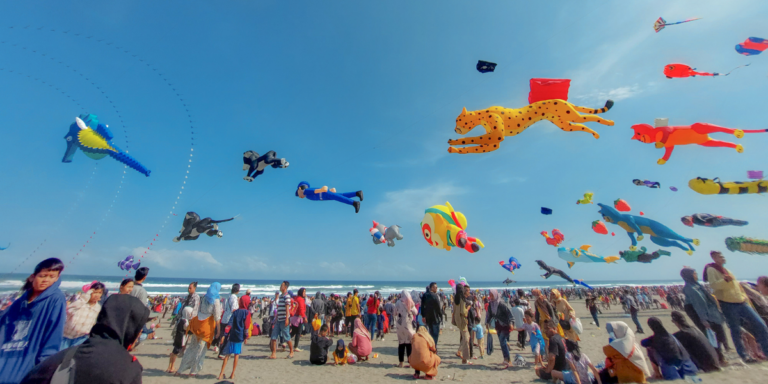 How to Host a Kite Festival in India: Fly360’s Complete Expert Guide